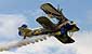 Loading : UTTERLY BUTTERLY WING-WALK DISPLAY...