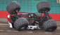 MONSTER MUTT ROLLS OUT OF FREESTYLE ACTION