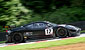 BURTON/WILCOX PREDATOR RACING FERRARI 430 SCUDERIA