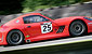 STINTON/SIMPSON STARK RACING GINETTA G55